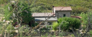 Casa Il Mandorlo - Isola d'Elba